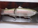Rainbow trout (#12)