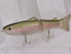 Rainbow trout