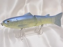 Reservoir shad