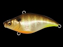 GLX Sunshine gill