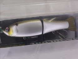 Gizzard shad