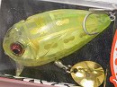 Crystal lime frog