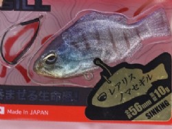 Purple gill