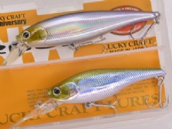 Member limited (78mm Minnow + 70mm Crank bait)