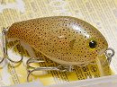 Member limited color #4 (Real squid skin covering)