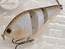 2011 Member limited (Pearl shad)