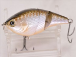 2011 Member limited (Pearl shad)