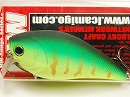 Hot tiger  (Lucky Craft Club Member limited color)