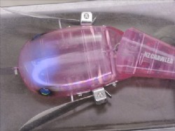 Pink scale (#11)