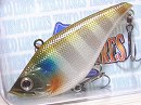 Blue gill (#002)