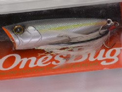 American shad (#253)