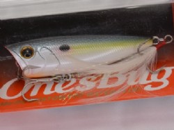 Natural shad (#62)