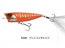 Passion orange