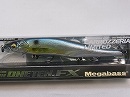 GG Threadfin shad