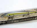Megabass Sexy Shad