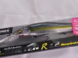 Jukucho shad