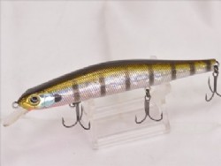 Blue gill