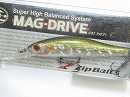 Olive shiner