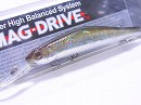 Silver shad