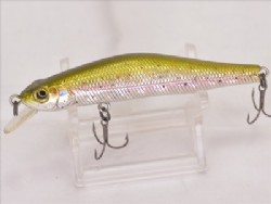 Rainbow trout