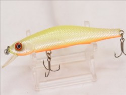 Rupin (Orange belly)