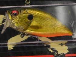 GG Megabass kinkuro