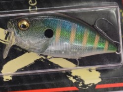 GP Billy max
