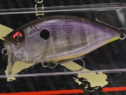 SD phantom gill