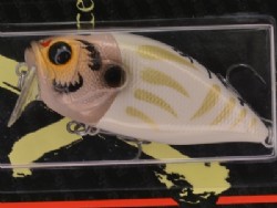 Shiro daruma (Limited color)