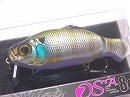 Blue gill (#07)