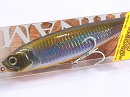 Blue gill
