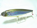 Striped minnow