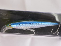 Hologram maiwashi