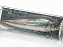 HG Japanese shad