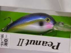 Sexy shad