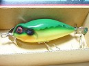Hyla frog (#01)