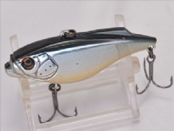 Silver shiner