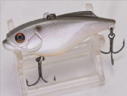 Silver shiner