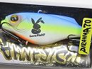 American blue shad (#284) -Rabbit model