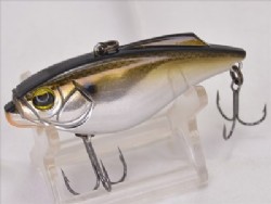 Arkansas shiner