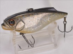 Black piranha