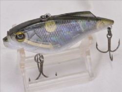Immitation black abalone (Silent model)