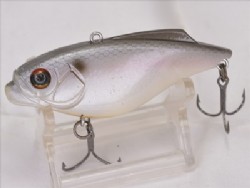 Silver shinner