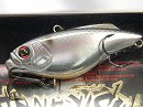 Silver flash shiner (#173)