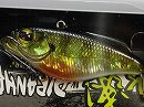 Blue gill (#357)