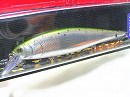 Laser rainbow trout