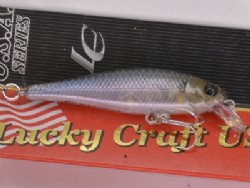 Ghost minnow
