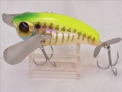 IS chart back gill bone