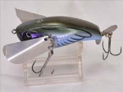 JFS aosuji ageha (Graphium sarpedon)  2015 Fishing Show Limited