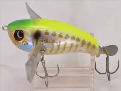 IS chart back gill bone